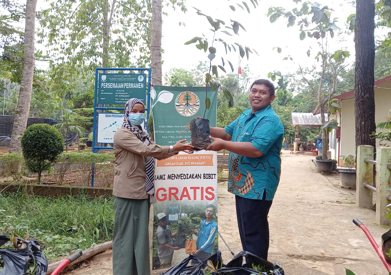 UIN Jambi Terima Bantuan 1550 Bibit Pohon Gratis UIN Jambi Terima Bantuan 1550 Bibit Pohon Gratis