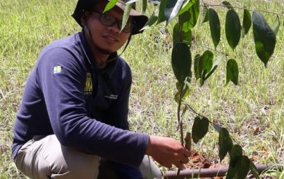 Green Movement: Menjaga Ekosistem Melestarikan Bumi